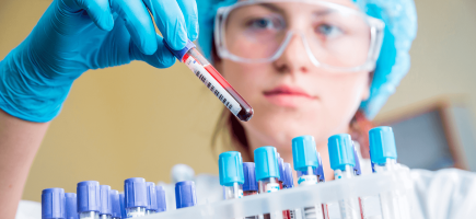 Technical and scientific support
